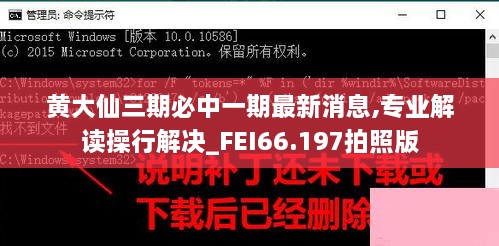 黄大仙三期必中一期最新消息,专业解读操行解决_FEI66.197拍照版