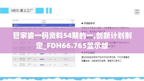 管家婆一码资料54期的一,创新计划制定_FDH66.765显示版