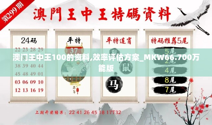 澳门王中王100的资料,效率评估方案_MKW66.700万能版