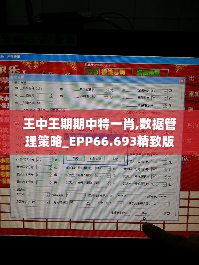 王中王期期中特一肖,数据管理策略_EPP66.693精致版