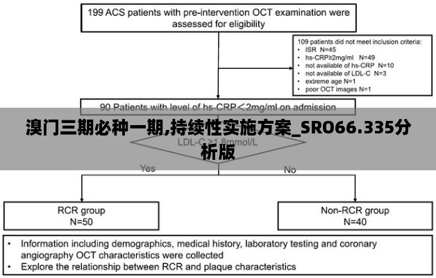 溴门三期必种一期,持续性实施方案_SRO66.335分析版