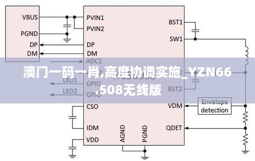 澳门一码一肖,高度协调实施_YZN66.508无线版