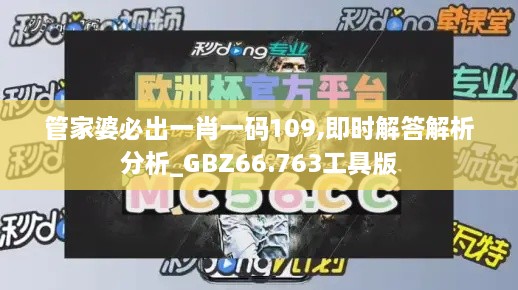 管家婆必出一肖一码109,即时解答解析分析_GBZ66.763工具版