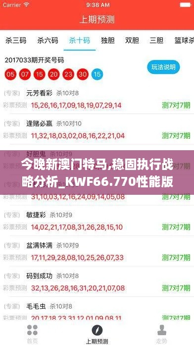 今晚新澳门特马,稳固执行战略分析_KWF66.770性能版