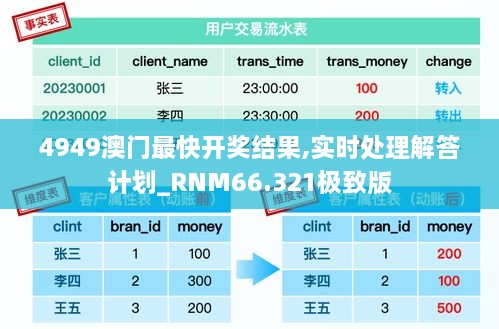 4949澳门最快开奖结果,实时处理解答计划_RNM66.321极致版