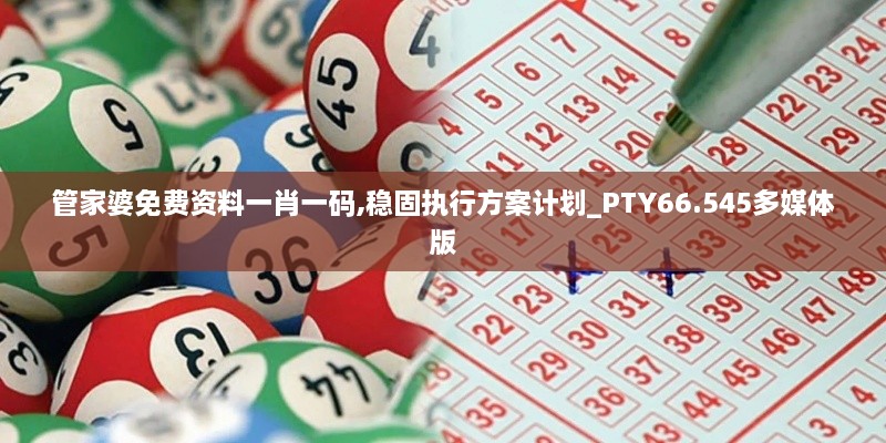 管家婆免费资料一肖一码,稳固执行方案计划_PTY66.545多媒体版