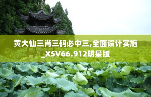 黄大仙三肖三码必中三,全面设计实施_XSV66.912明星版