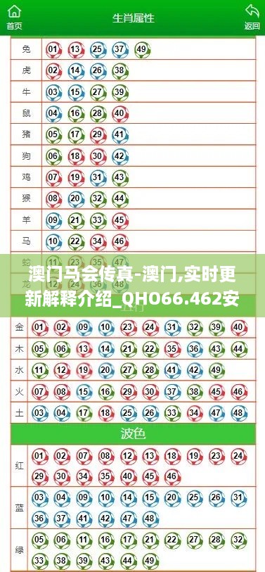 澳门马会传真-澳门,实时更新解释介绍_QHO66.462安全版