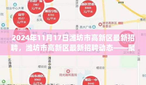 潍坊市高新区最新招聘动态揭秘，聚焦人才盛会，2024年11月17日盛大启幕