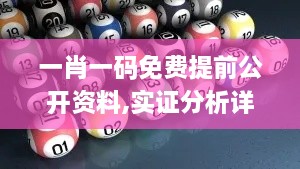 一肖一码免费提前公开资料,实证分析详细枕_LBL66.501自由版