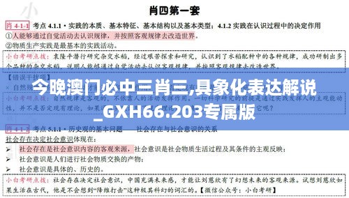 今晚澳门必中三肖三,具象化表达解说_GXH66.203专属版