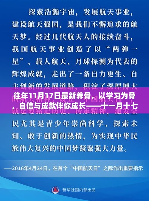 十一月十七日，以学习为骨，自信成就成长之路的新篇章