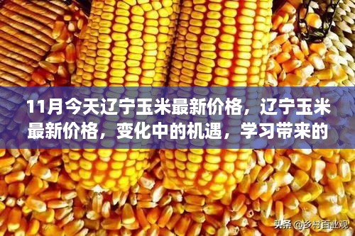 辽宁玉米最新价格动态，变化中的机遇与学习的自信与成就感