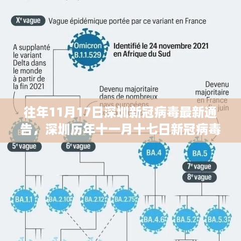 历年深圳新冠病毒通告回顾，影响与启示（往年11月17日最新通告）