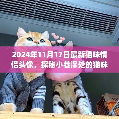 独家揭秘，2024年最新猫咪情侣头像，探秘小巷深处的浪漫情缘