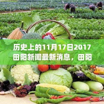 探寻自然美景之旅，田阳新闻回顾与启程寻找内心的宁静与欢笑（2017年11月17日最新消息）