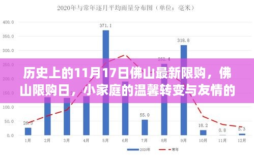 历史上的11月17日佛山限购政策，小家庭温馨转变与友情力量背后的故事