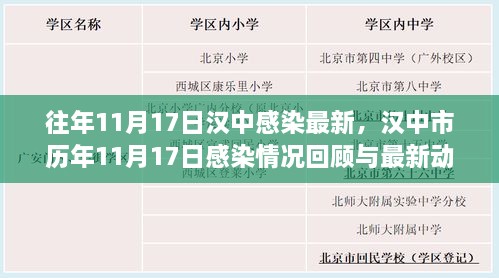 汉中历年11月17日感染情况深度解析，回顾与最新动态报告