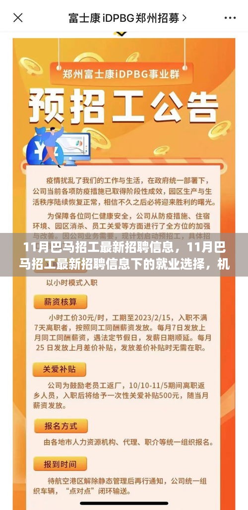 11月巴马最新招工信息，就业选择与机遇挑战并存