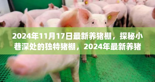 探秘独特猪棚，2024年最新养猪科技体验之旅，揭秘养猪棚前沿科技进展