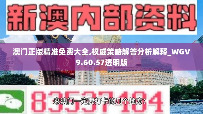 澳门正版精准免费大全,权威策略解答分析解释_WGV9.60.57透明版