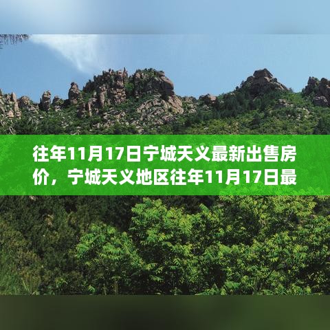 宁城天义地区往年11月17日最新房价概览及出售房价信息