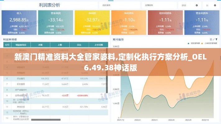 新澳门精准资料大全管家婆料,定制化执行方案分析_OEL6.49.38神话版