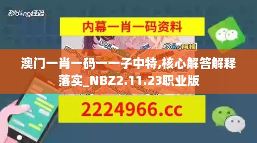 澳门一肖一码一一子中特,核心解答解释落实_NBZ2.11.23职业版