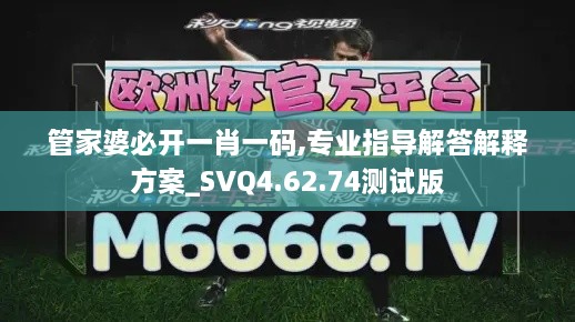 管家婆必开一肖一码,专业指导解答解释方案_SVQ4.62.74测试版