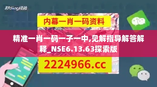 精准一肖一码一子一中,见解指导解答解释_NSE6.13.63探索版