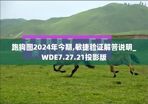 跑狗图2024年今期,敏捷验证解答说明_WDE7.27.21投影版