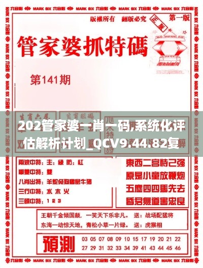 202管家婆一肖一码,系统化评估解析计划_QCV9.44.82复刻版