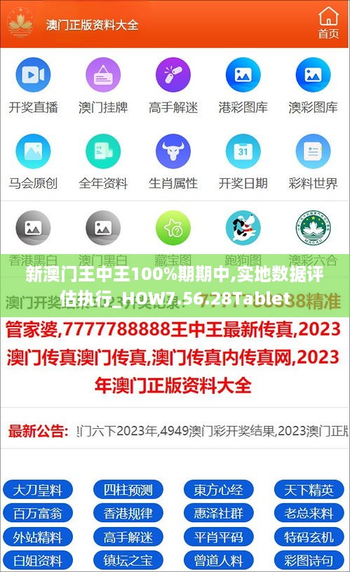 新澳门王中王100%期期中,实地数据评估执行_HOW7.56.28Tablet