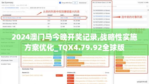 2024澳门马今晚开奖记录,战略性实施方案优化_TQX4.79.92全球版