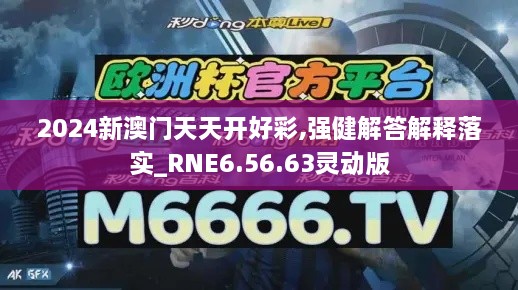 2024新澳门天天开好彩,强健解答解释落实_RNE6.56.63灵动版