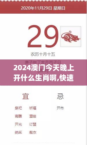 2024澳门今天晚上开什么生肖啊,快速解答解释落实_RHD9.22.78计算机版