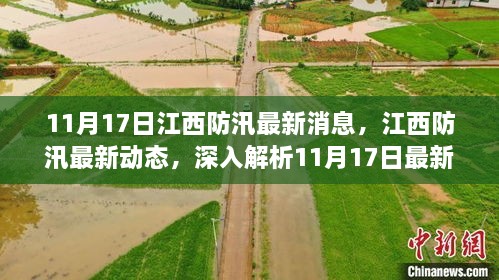 江西防汛最新动态报告，深入解析11月17日最新消息的综合报告