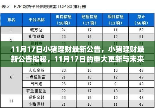 小猪理财最新公告发布，揭秘重大更新与未来展望（附日期）