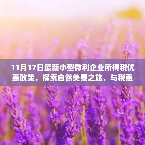 最新小型微利企业所得税优惠下的心灵净土探寻之旅