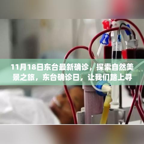 2024年11月18日 第7页