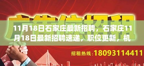 石家庄11月18日最新招聘更新，职位速递，理想工作等你来挑！