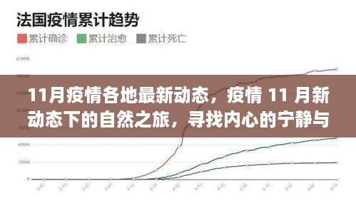 11月疫情最新动态下的自然之旅，探寻内心宁静与平和之道