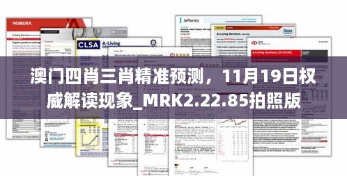 澳门四肖三肖精准预测，11月19日权威解读现象_MRK2.22.85拍照版