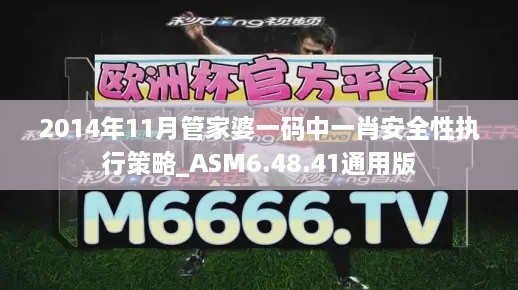 2014年11月管家婆一码中一肖安全性执行策略_ASM6.48.41通用版