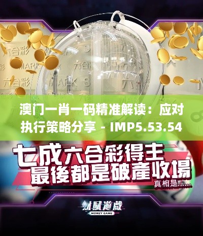 澳门一肖一码精准解读：应对执行策略分享 - IMP5.53.54版本，11月19日