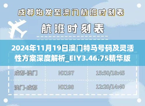 2024年11月19日澳门特马号码及灵活性方案深度解析_EIY3.46.75精华版