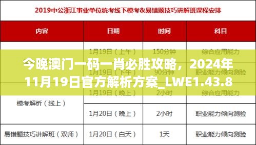 今晚澳门一码一肖必胜攻略，2024年11月19日官方解析方案_LWE1.43.80极速版