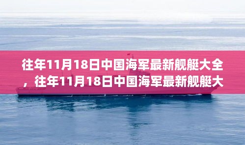 往年11月18日中国海军舰艇概览，力量布局深度解析