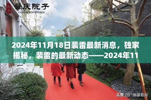 独家揭秘裴雷最新动态，2024年11月18日专稿报道