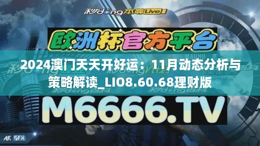 2024澳门天天开好运：11月动态分析与策略解读_LIO8.60.68理财版